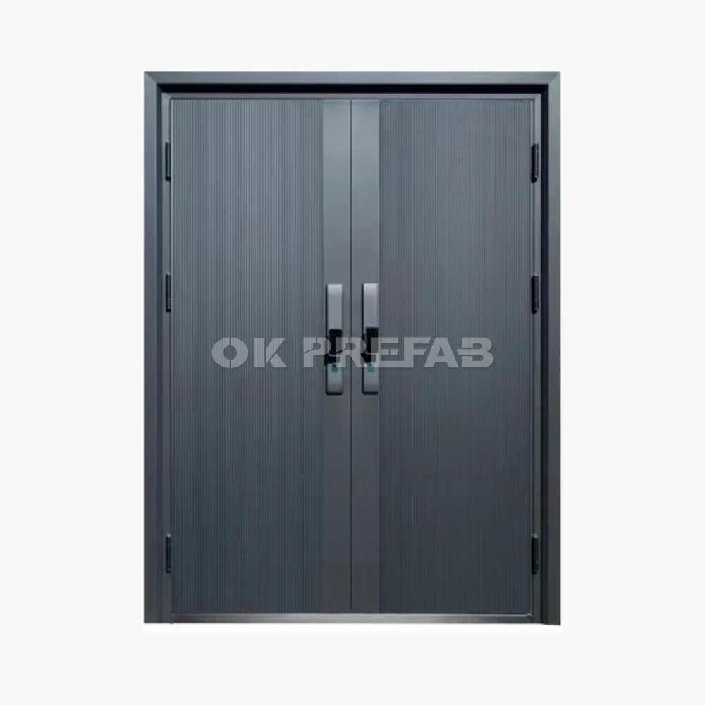Luxury steel door double door type
